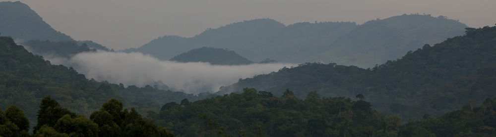 Silverback Lodge Buhoma Εξωτερικό φωτογραφία